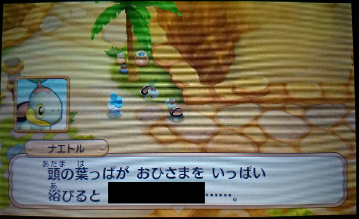 ぽこもこ V Twitter 頭の葉っぱがおひさまをいっぱい浴びると ぽこもこ V Twitter 頭の葉っぱがおひさまをいっぱい浴びると