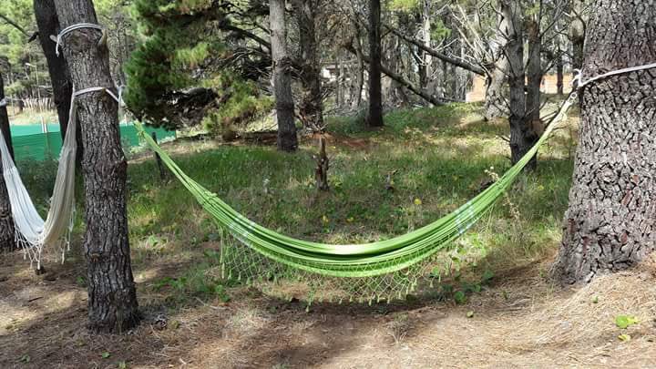 AltosReserva's tweet image. 