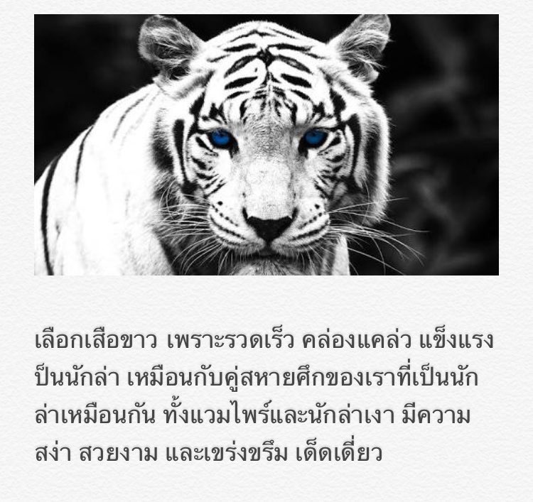yongsun_sl's tweet photo. @__ShadowWORLD มาส่งกิจค่ะ 🐯🐅 w/@RVJOY96__ https://t.co/CuPsEKjLZG