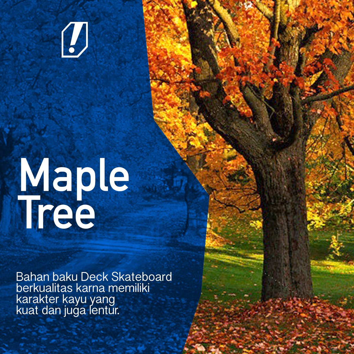 pengen tau kegunaan pohon ini? yuk cek di sini instagram.com/p/BDnXe9yJAZB/…