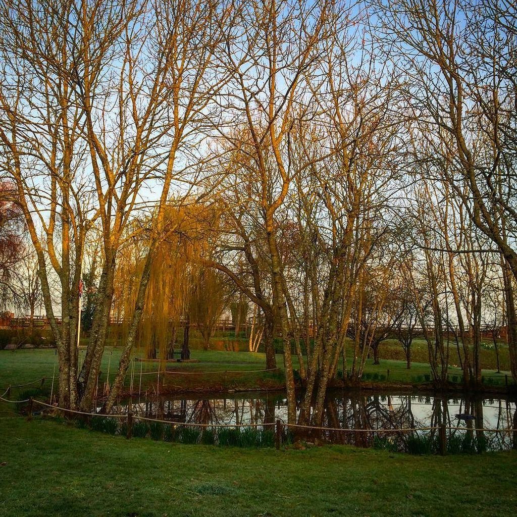 ThePaleoGym's tweet photo. What a beautiful morning at the gym! #crocksteadfarmhotel #crossfit #crossfituk #crossfitf… https://t.co/wssvFPjMis https://t.co/vJuirFsRUw