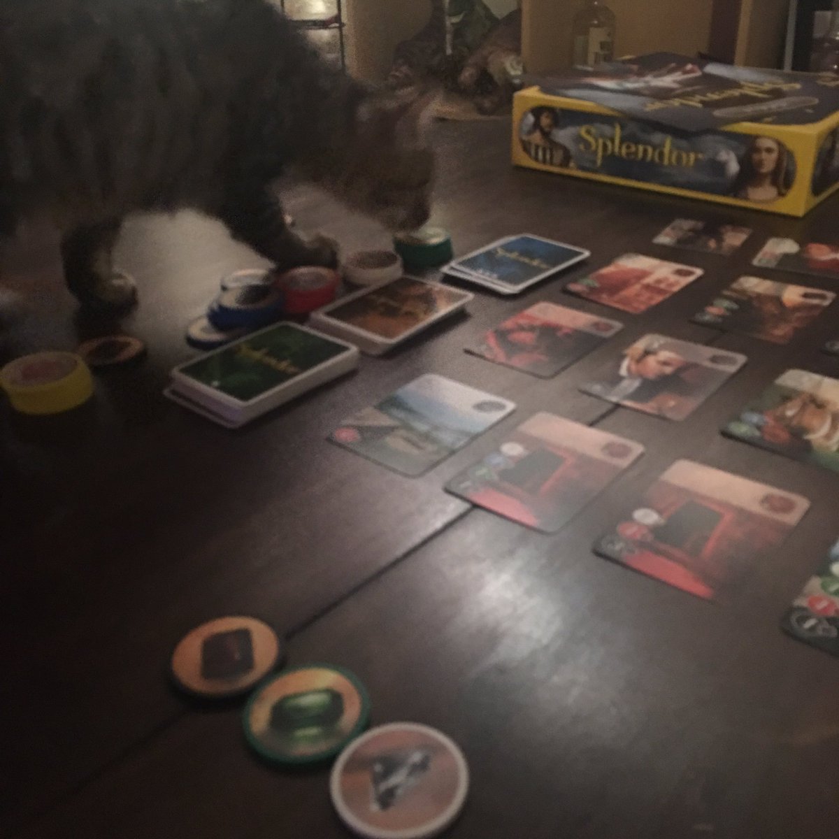 boardgamestuff's tweet photo. #cats and #boardgames https://t.co/tVR8jpSd8Q