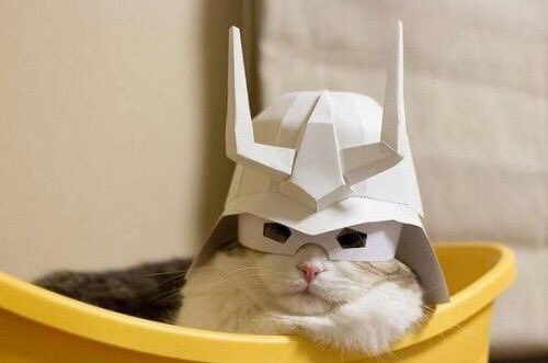 MasonJayK's tweet photo. When your a cat but you have to defeat the earth federation. https://t.co/kModHAtmVu