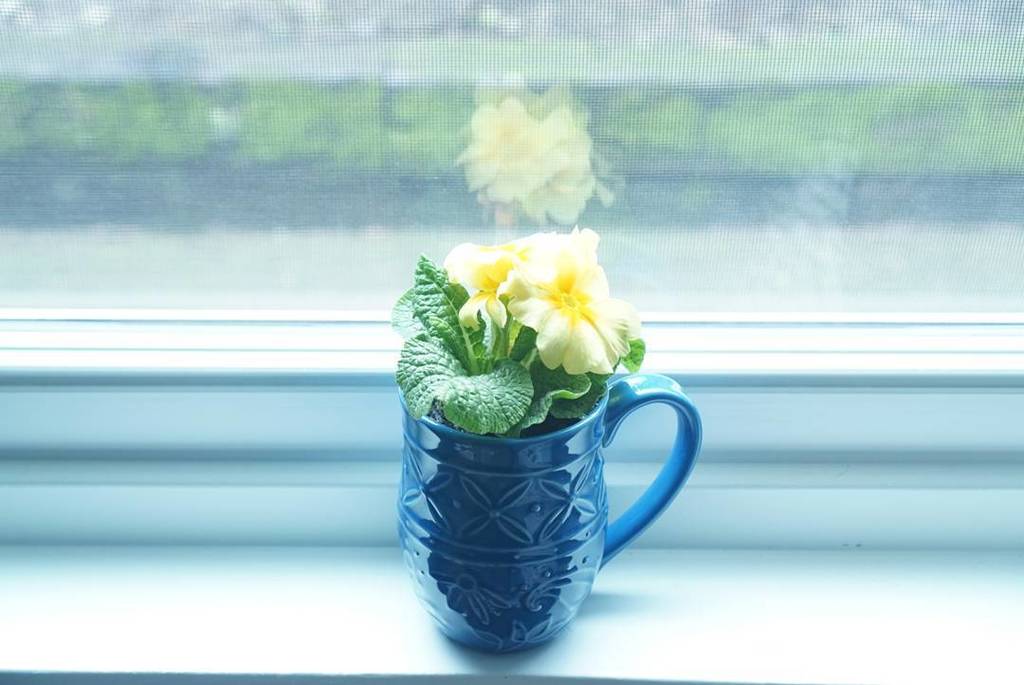 wondringincolor's tweet photo. Make sure you get out and enjoy the spring time. Oh how I love the newness of Spring! What are you looking forward … https://t.co/2jN8YiUA0x