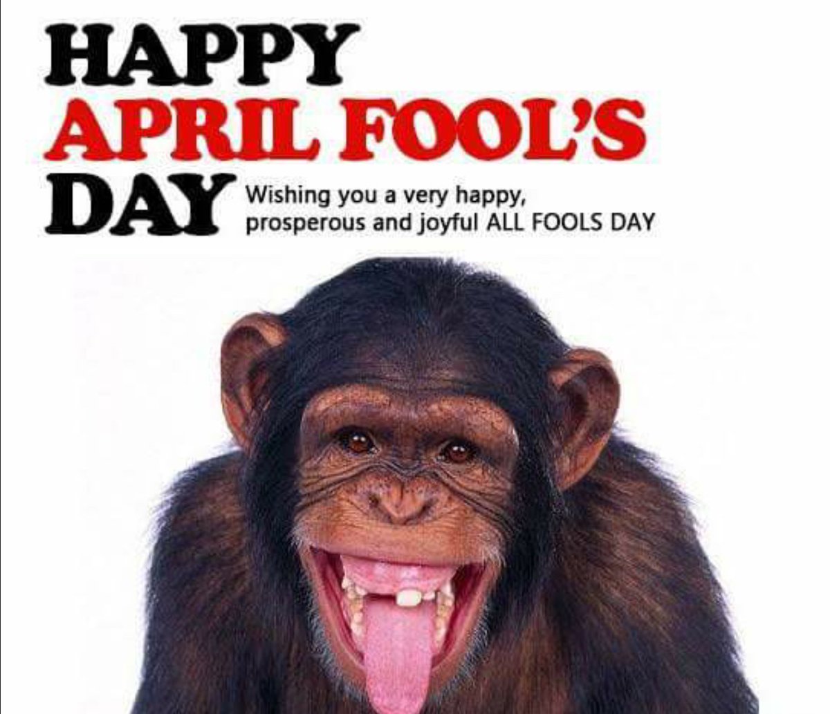 Happy fools day