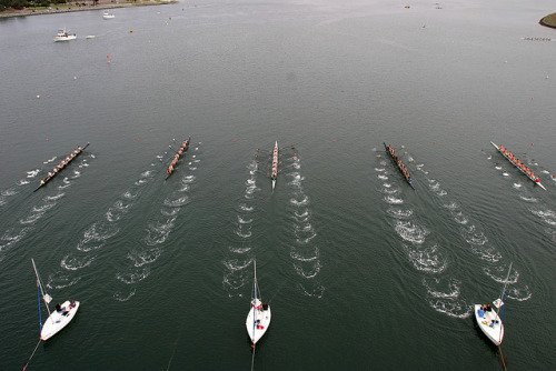 acausadasilviab's tweet image. I want to row away.  #row #rowing