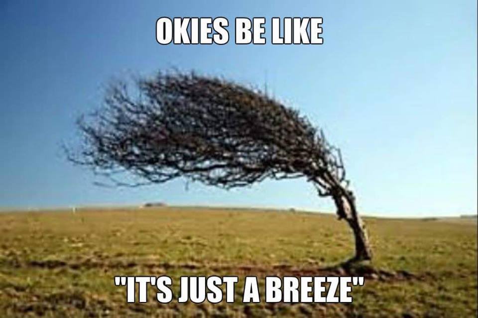 dmdbk69's tweet image. 