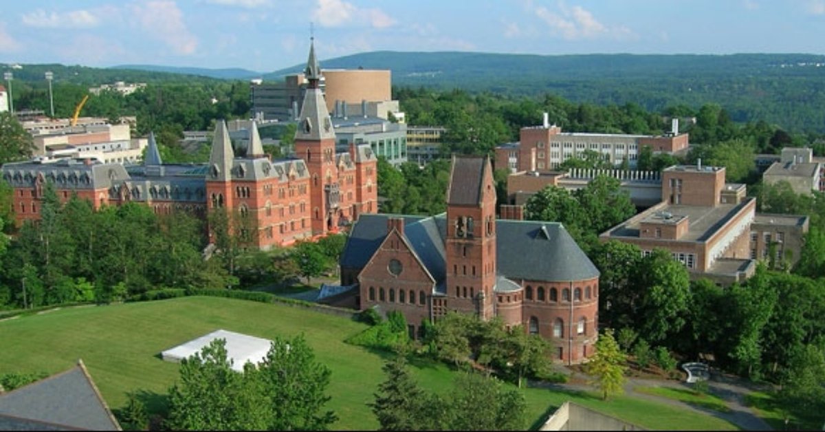 I finally got the acceptance letter #Cornell2020 😊❣✈️🏰