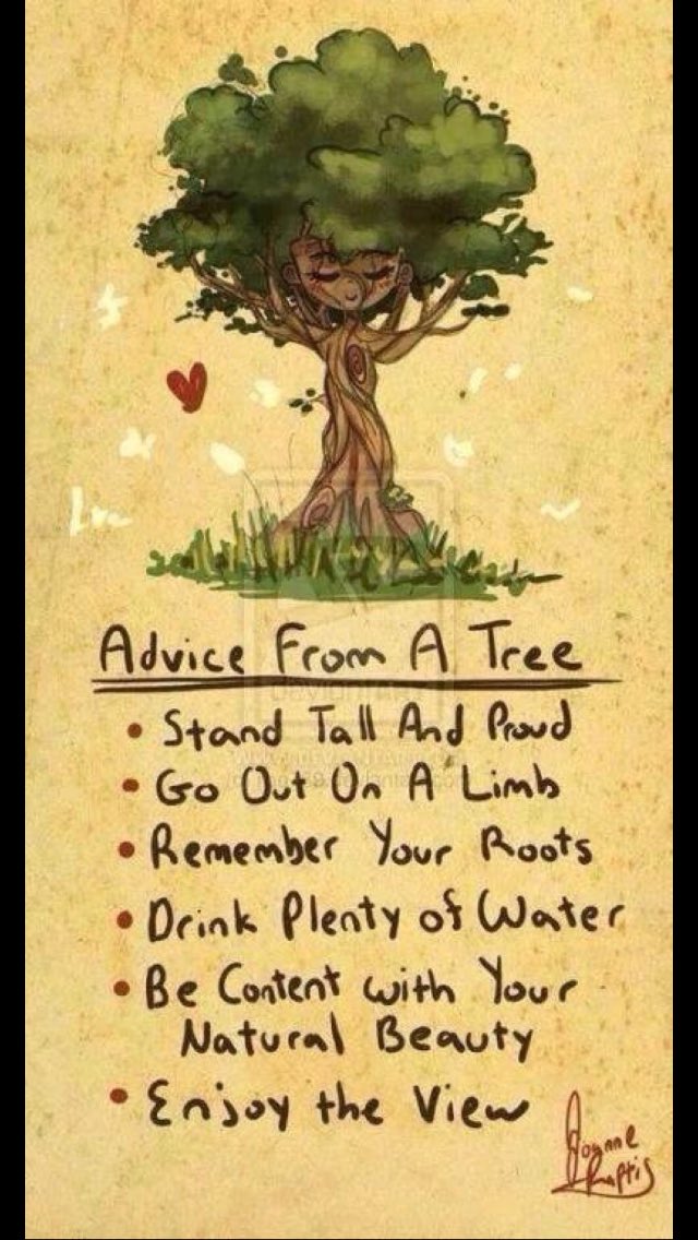 burkemaryjane's tweet photo. I guess if a tree falls in the woods.... We can hear it if we listen carefully :) https://t.co/PfcQmbtceu
