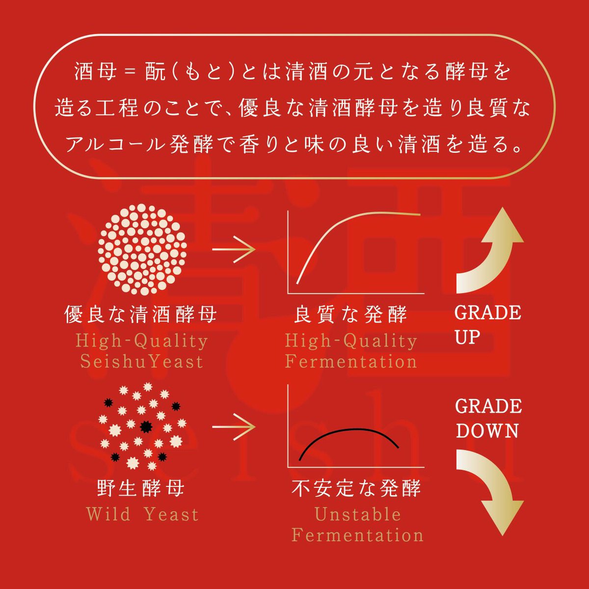 nonbe3dayo's tweet photo. #酵母 #yeast #酒母 #shubo #酛 #moto #酒母 #発酵 #frementation #seishu #日本酒 #sake #清酒 #Water #rice #米 https://t.co/VBZgEwWSeM