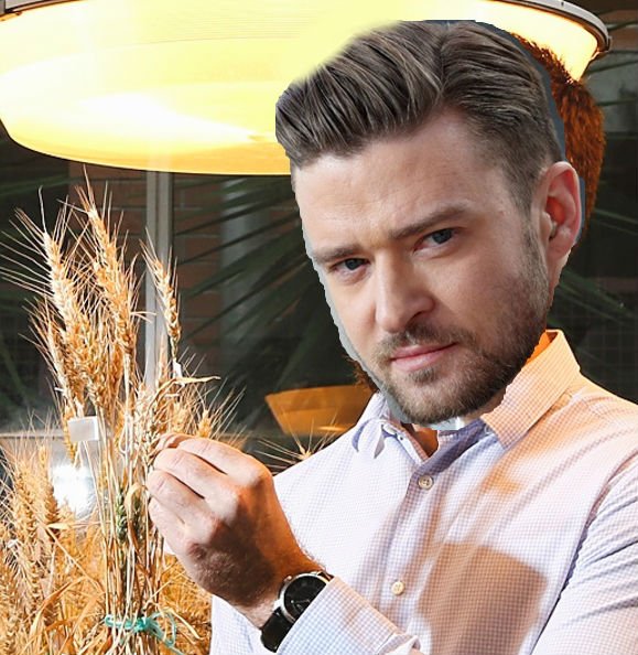DrHikov's tweet photo. My talk to Year 12 science students went well. They said I look like @jtimberlake ...if only! @UQ_News @qldscience https://t.co/cHpEA2dtju