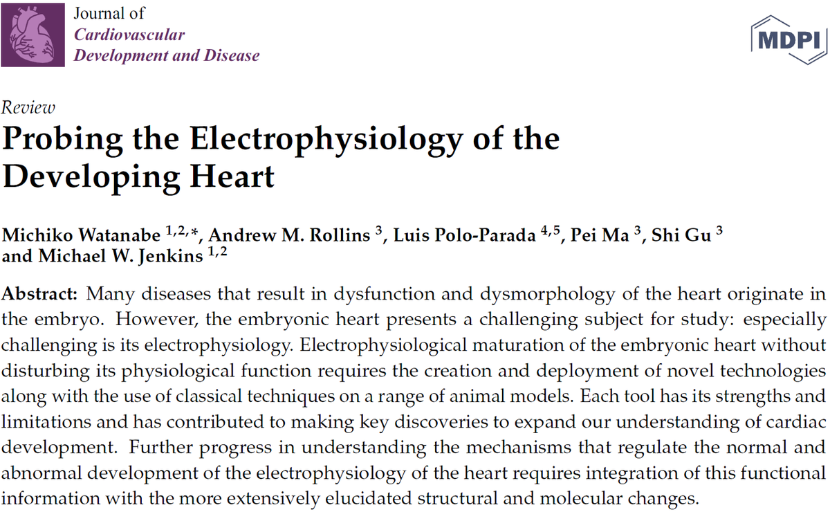 JCDD_MDPI's tweet photo. Probing the #Electrophysiology of the #DevelopingHeart
https://t.co/BM5jlC5hvp https://t.co/xfbbr4358g