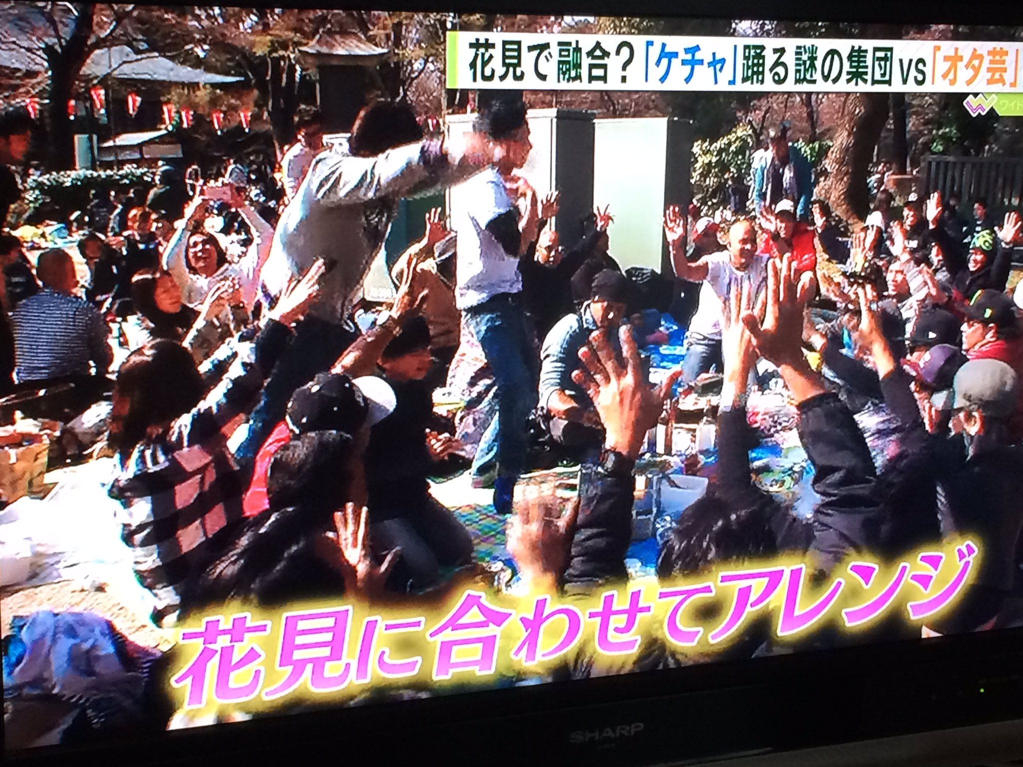 なかま さゆみ 花見が文化の合流点といえどまさかケチャとオタ芸が交差してたとは W ていうかオタ芸ってケチャ の動きに似てるんだね つまりドルオタはケチャを踊ってるようなもんなのか T Co Boeunhn3pr