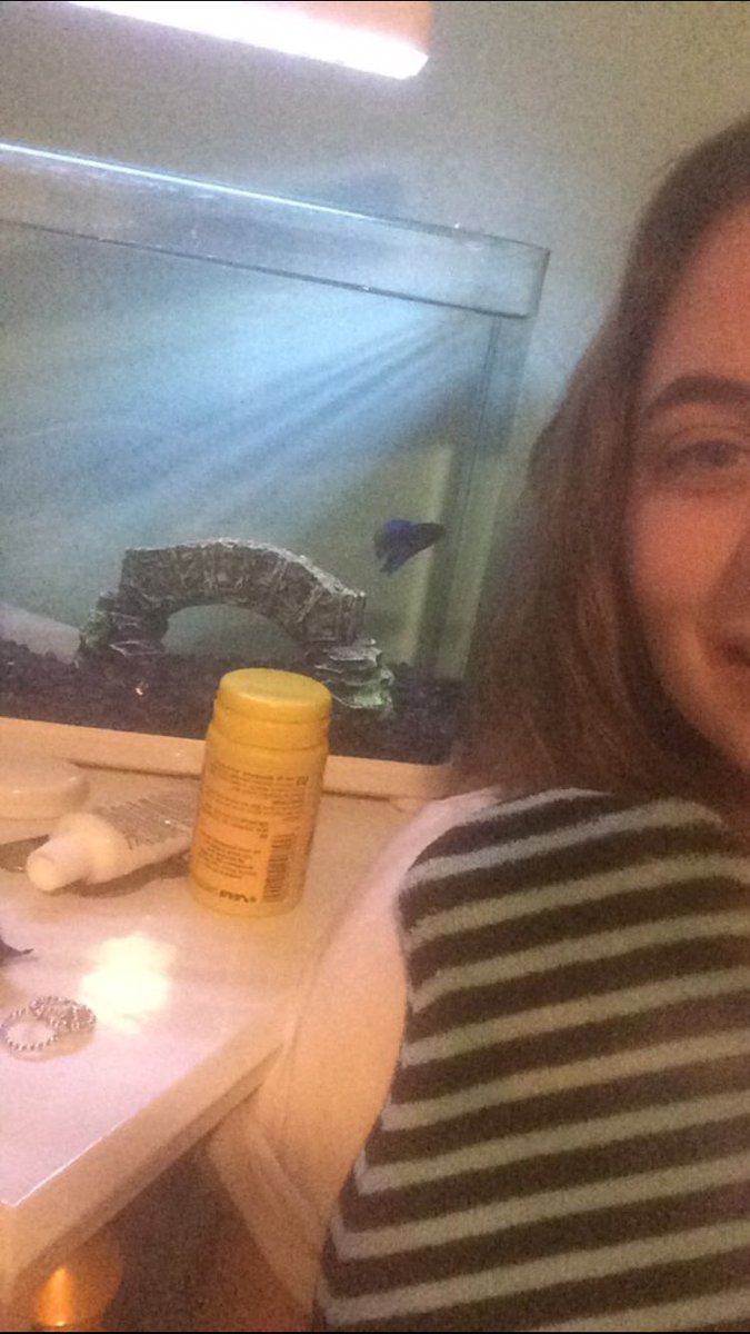 LucyAdele13's tweet photo. RIP to my fishy who died last week, one day short of his first birthday xo #Poseidon #love #fish https://t.co/buHQoXMZGS