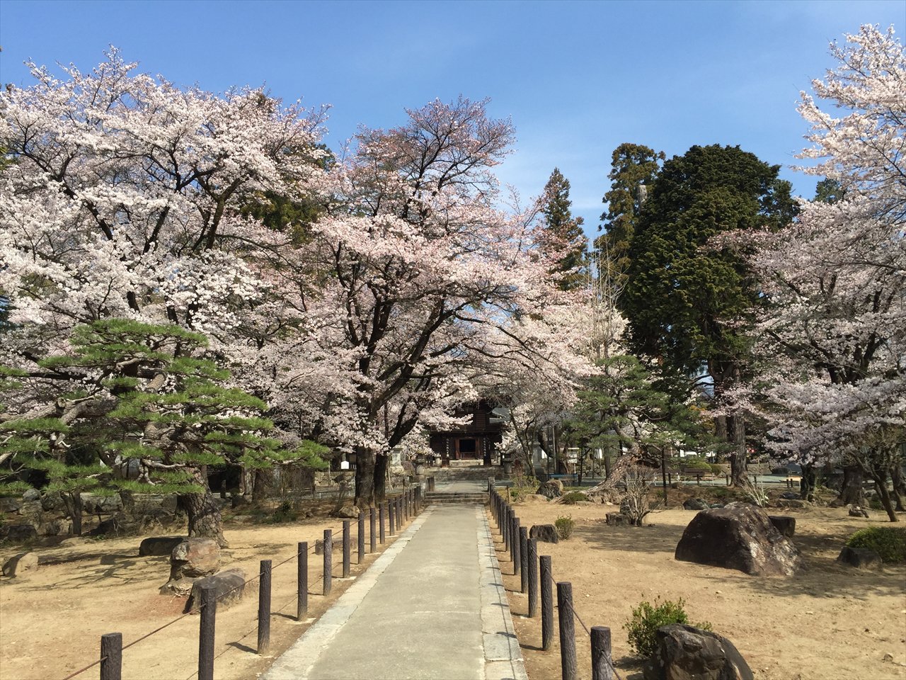 山梨県 甲州市観光協会 甲州市の桜の様子をお伝えいたします 恵林寺は満開 週末はお花見がおすすめです 慈雲寺は5分咲きくらいです 週明け頃が満開でしょうか 勝沼ぶどう郷駅 甚六桜は8分咲き こちらも週末のお花見が楽しめそうです 山梨県 甲州市観光協会 甲州市の桜の様子をお伝えいたします 恵林寺は満開 週末はお花見がおすすめです 慈雲寺は5分咲きくらいです 週明け頃が満開でしょうか 勝沼ぶどう郷駅 甚六桜は8分咲き こちらも週末のお花見が楽しめそうです