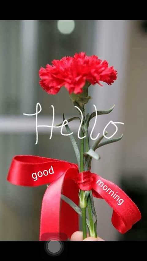 DandariR's tweet photo. @boomina27840300 https://t.co/qTqJcXZm7K