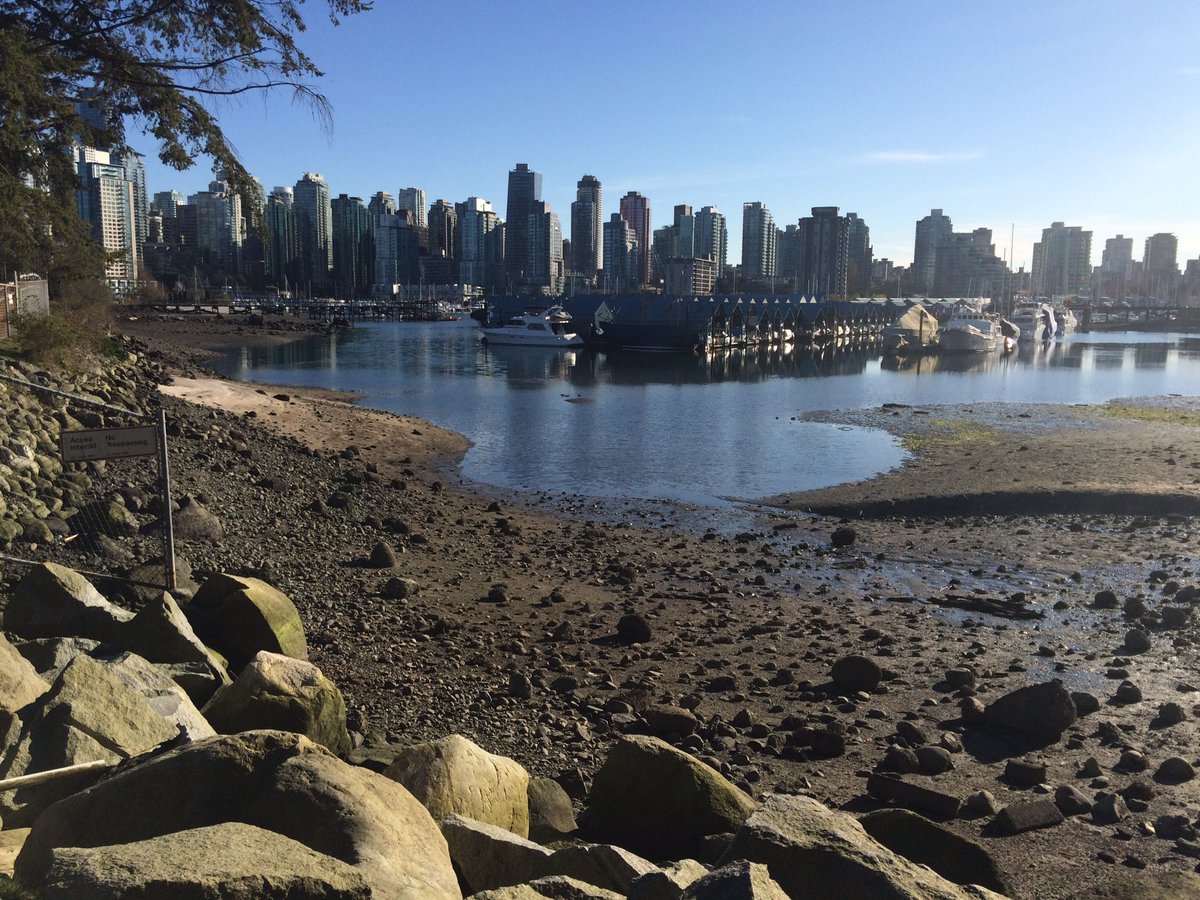 LSNERR's tweet photo. Tides out, looking at Coal Harbour https://t.co/1DyWFRPw0M