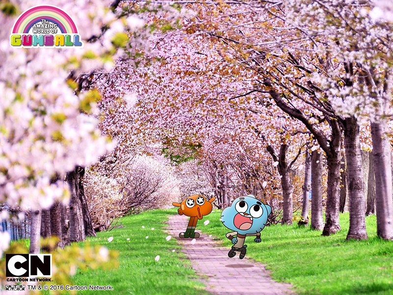 تويتر おかしなガムボール 公式 على تويتر 今週末はお花見だー お花見 T Co Vi276o0qif