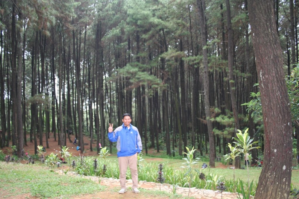 Sally Nurita Rahim (@sallyrachim) on Twitter photo 