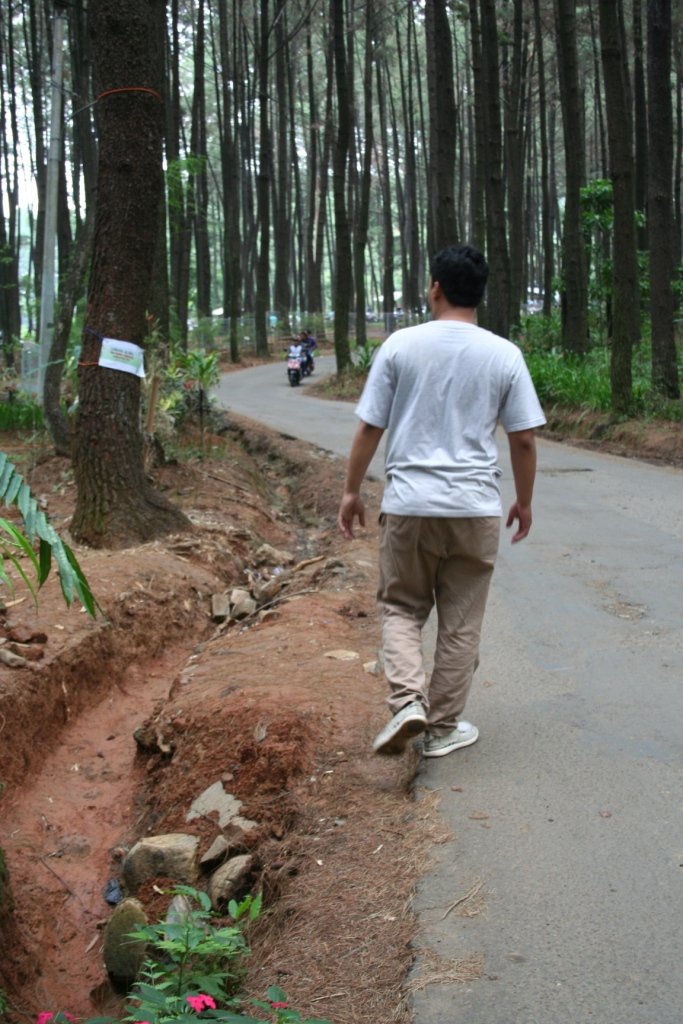 Sally Nurita Rahim (@sallyrachim) on Twitter photo 