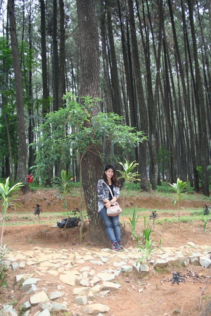 Sally Nurita Rahim (@sallyrachim) on Twitter photo 