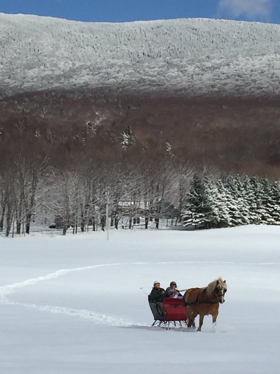 Jultech's tweet image. Wintery moment #sleighride