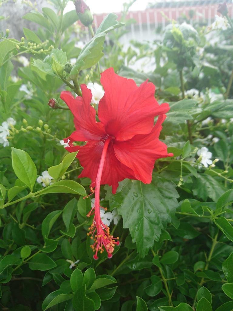 spider (@benardlouis2) on Twitter photo 