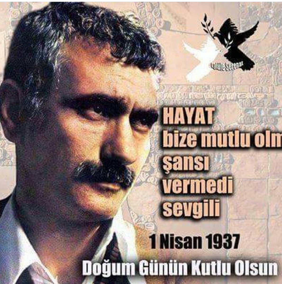 #YılmazGüney79Yaşında
