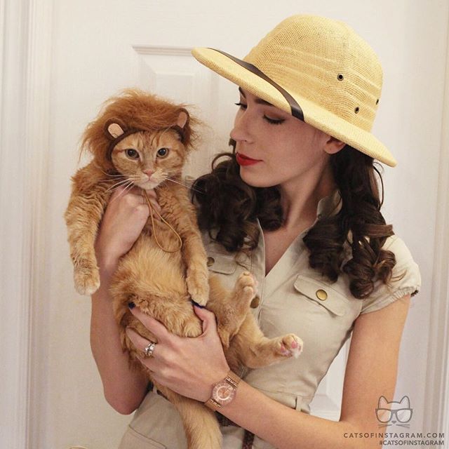 #kittens