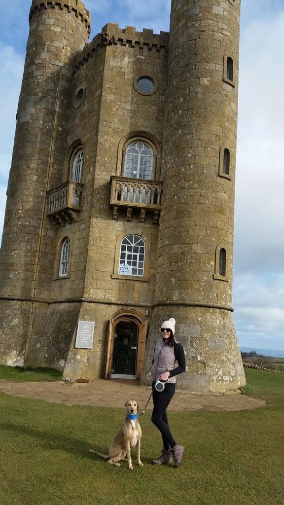 sheffieldvideo's tweet photo. We had a few days off at Easter to take our #rescuedog away to the #Cotswolds so many #dogfriendly things to do 🐾😊 https://t.co/YmXMpABcfr