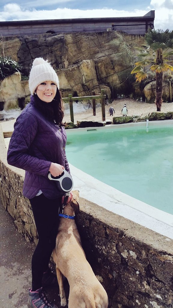 sheffieldvideo's tweet photo. We had a few days off at Easter to take our #rescuedog away to the #Cotswolds so many #dogfriendly things to do 🐾😊 https://t.co/YmXMpABcfr