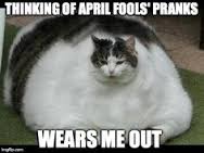 LilyLuWhoT's tweet photo. @spike_cat @GanAstrid @clingycat Apparently this kitteh is too tired for #AprilFolls mischief! MOL! https://t.co/seM5WFdQDl