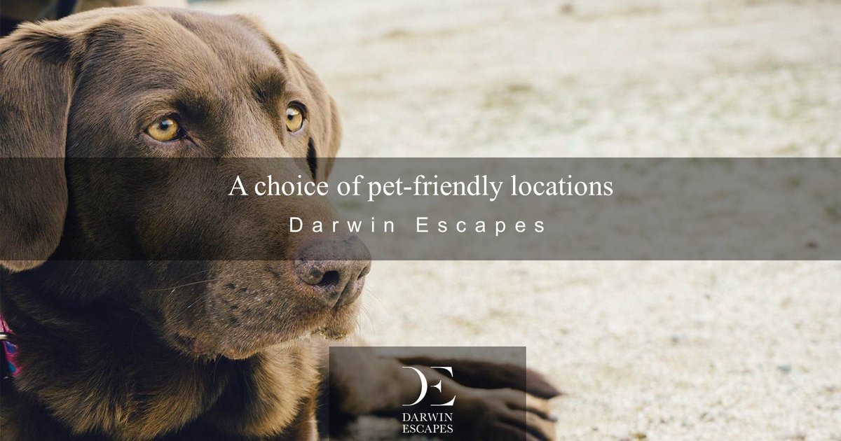 DarwinEscapes's tweet image. Did you fall for our #AprilFool?
Fear not - we offer a range of pet-friendly #luxury breaks
darwinescapes.co.uk/holiday-breaks…