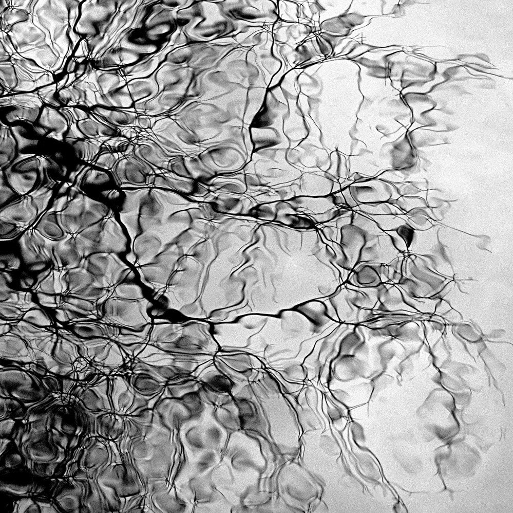 MonochromeMuse's tweet photo. Water calligraphy https://t.co/NEUhXC4Guc https://t.co/Q6u33OpLmQ