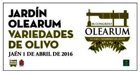 evoofans's tweet photo. #Homenaje al #olivo en el #Congreso #Olearum con la plantación de 20 olivos en #Jaén https://t.co/DxUFyf5ryi https://t.co/ozVNjb1BSX