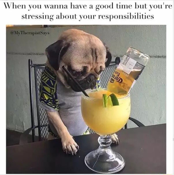 courtney__ferg's tweet photo. My life this semester. #neverfun #allidoishomework #whatsasociallife https://t.co/pkh1Kx68ux