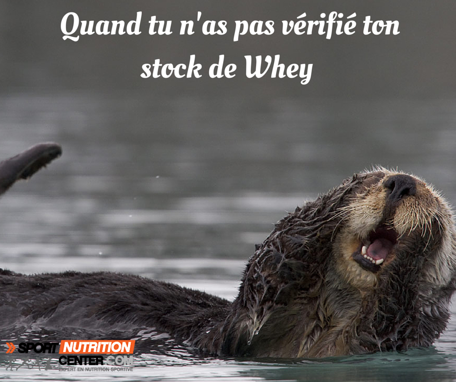 Toujours penser à vérifier sont stock de #whey !! #fitfam #training #sport