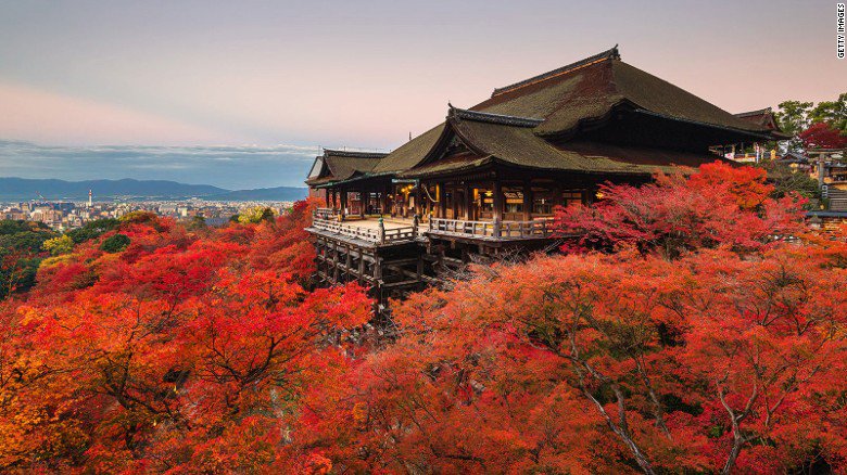CNNTravel's tweet photo. 17 beautiful Japanese temples in Kyoto and beyond https://t.co/xkmFdFJzTd https://t.co/xlIgMZjeNK