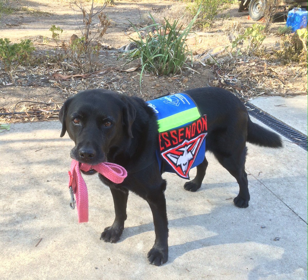 Rosemary Smith tweet media