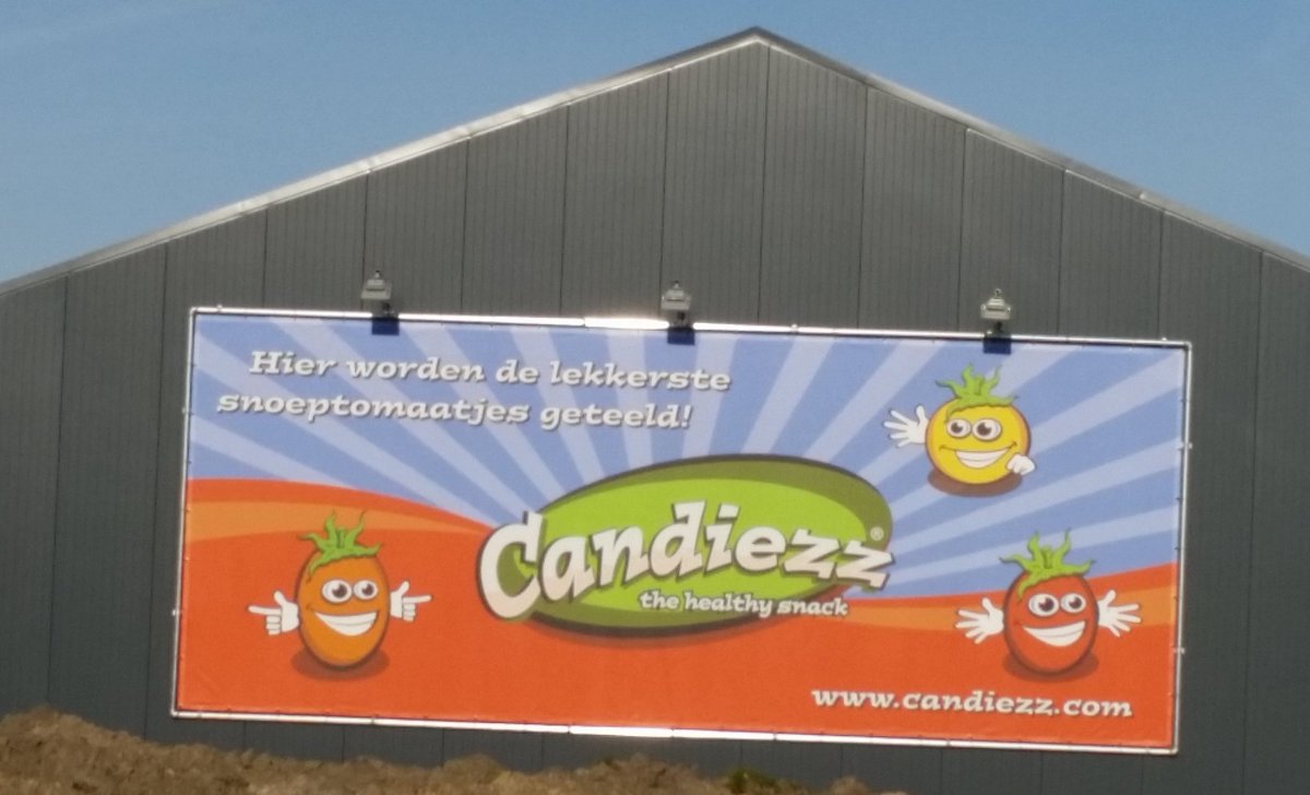 Een mooi doek aan de nieuwe schuur. Niet te missen waar onze lekkere tomaatjes vandaan komen #trots #gezond #lekker