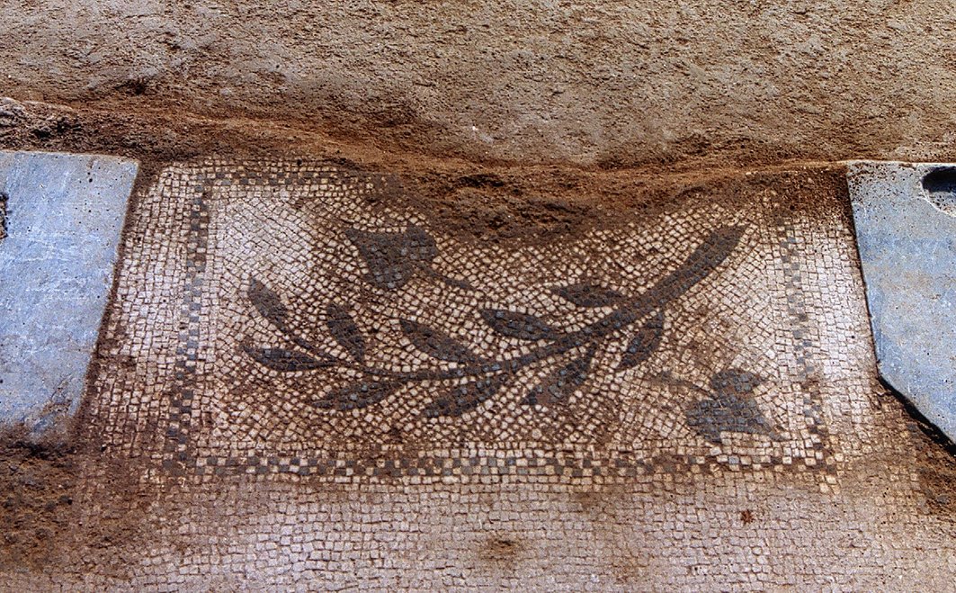 MuseuBdn's tweet photo. Aquest és el #mosaic de la Casa romana de l'Heura, un dels projectes de futur del #Museu #futureMW #MuseumWeek https://t.co/7eHoLvm0QA