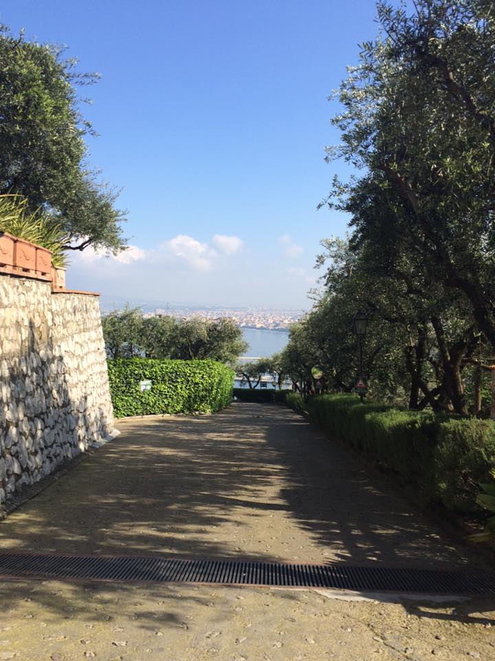 MeetInAction's tweet photo. Looking for the right #venue for our next Event:#Eventprofs,you'll never guess where this Medieval Castle is located https://t.co/zfv5Rgymti