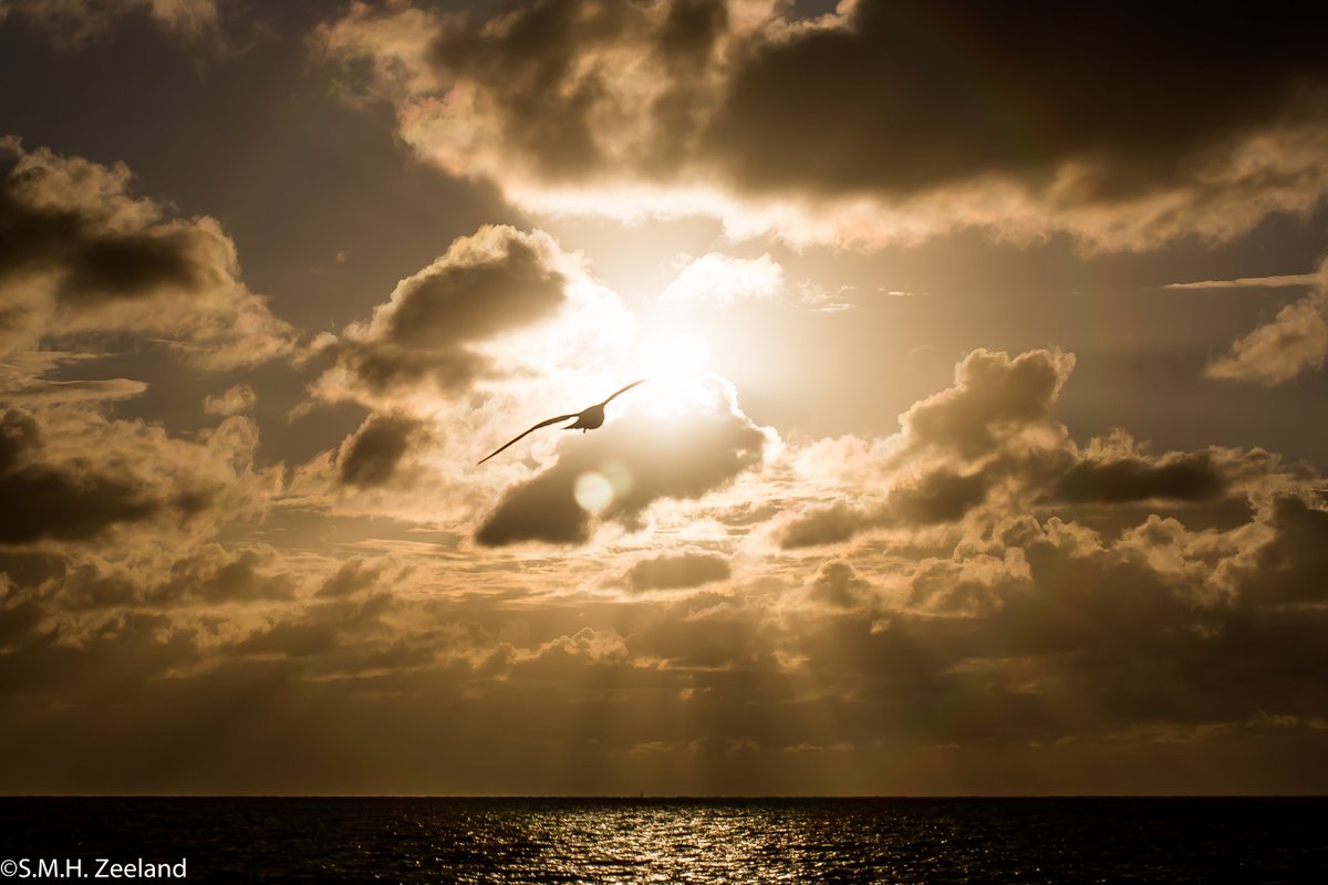 Havenlust's tweet photo. “The best way to predict your future is to create it”  #photography  #stormhour  #LoveTwitter  Do you like this?  ❤ https://t.co/SAS1IWWl8c
