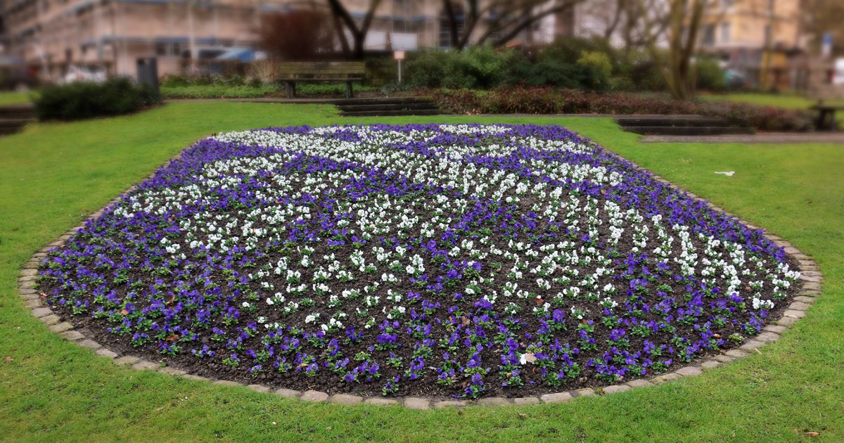 Großformatiger Frühjahrs-Gruß: Das Stadtwappen von #Kassel blüht wieder auf dem Brüder-Grimm-Platz. (mic) https://t.co/XRH3aa62Pe