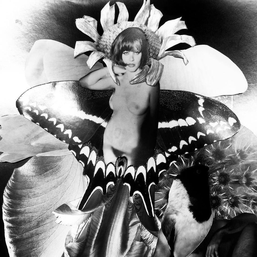 CollageArchive's tweet photo. Collage I did yesterday during a workshop organised by #projectonezero and @martacoradaphotography at Bemerton Art … https://t.co/xyDKrIXwh5