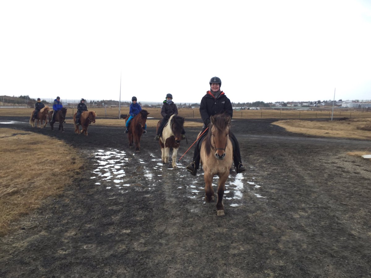 #riding in the rain in #Iceland #horse