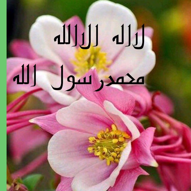 AA889991's tweet image. 