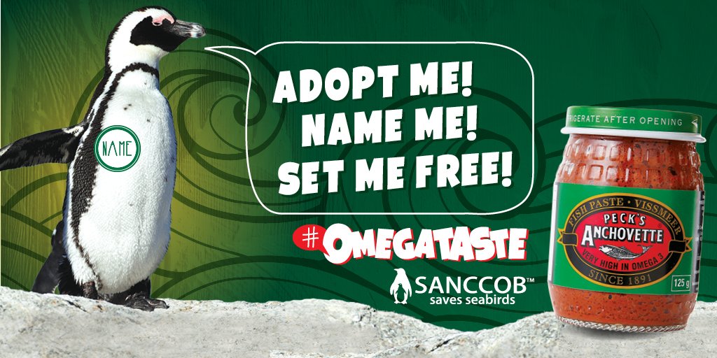 SANCCOB's tweet photo. Adopt, name and release a penguin at a SANCCOB event when you enter the PECKS ANCHOVETTE #OmegaTaste competition!π§ https://t.co/pQvKfl62gy
