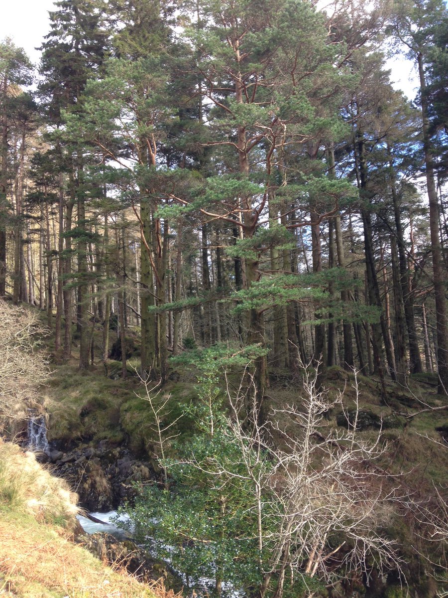 Alexpeterpowell's tweet photo. Great time in Wales such a beautiful country #Wales #camping #mountains https://t.co/WPcxZxsmye