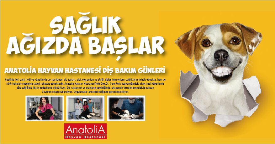 Anatolia Hayvan Hastanesi